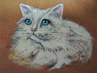 ペットロスの方がペットのリアルな似顔絵の注文（オーダー）前に見る作品～立体感ある愛猫を描いた肖像画のグッズ