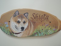 ペットロスの方がペット似顔絵の注文（オーダー）依頼前に見る作品～草花に囲まれた愛犬が元気に出迎えるウエルカムボードのグッズ