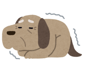 愛犬・愛猫の死とペットロスを癒していくにはの死とペットロスを癒していくには